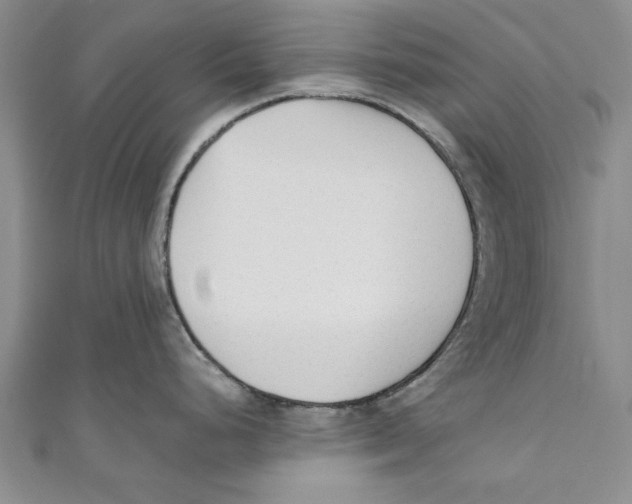 X0000110671248200907101059