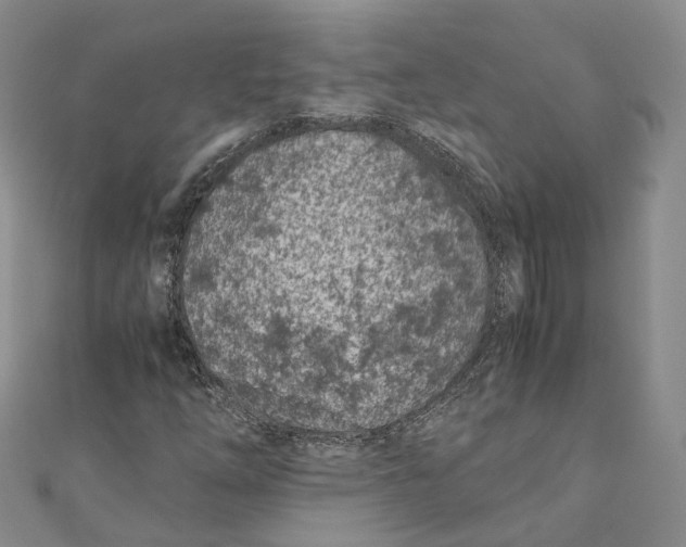 X0000110671254200907101058