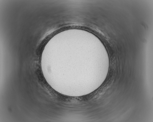 X0000110671255200907101058