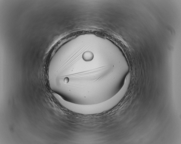 X0000110671256200907101058
