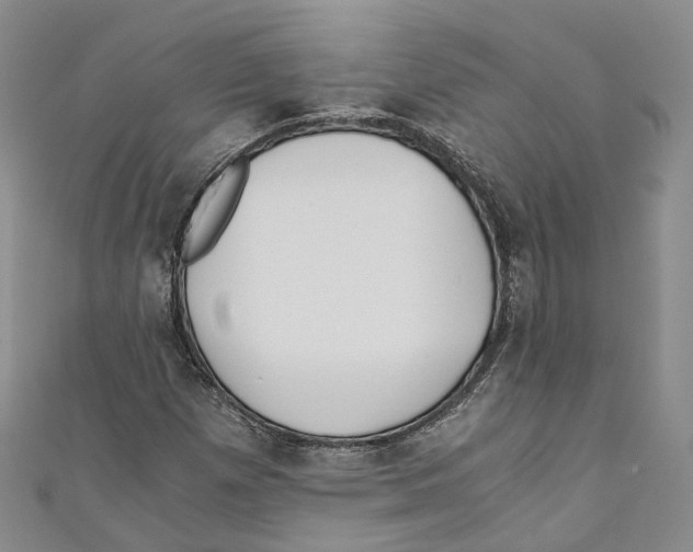 X0000110671257200907101058