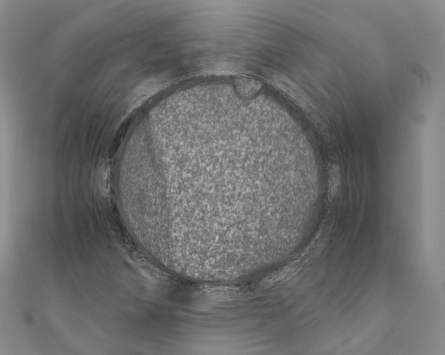 X0000110671258200907101058