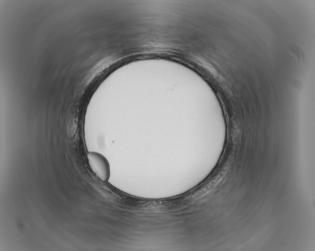 X0000110671259200907101058