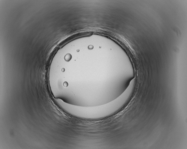 X0000110671260200907101058
