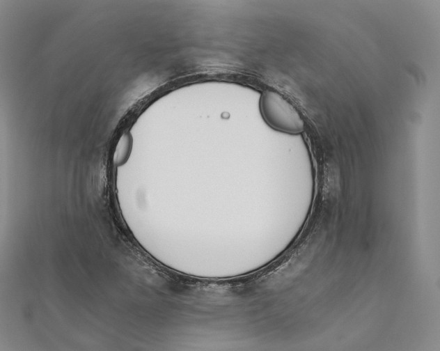 X0000110671261200907101058