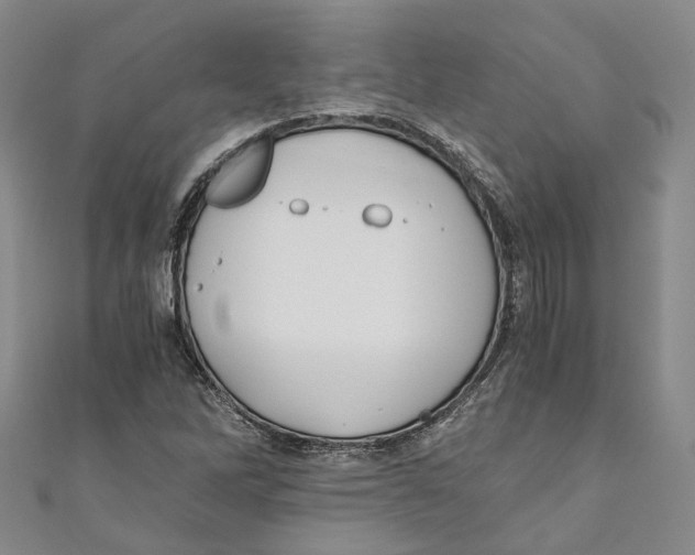 X0000110671262200907101058