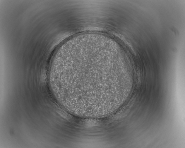 X0000110671266200907101058
