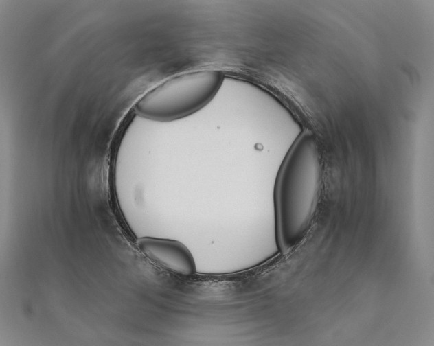X0000110671268200907101058