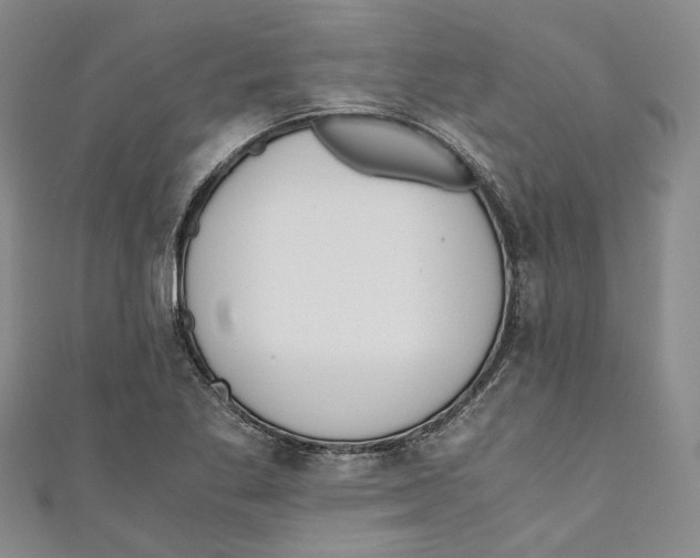 X0000110671269200907101058