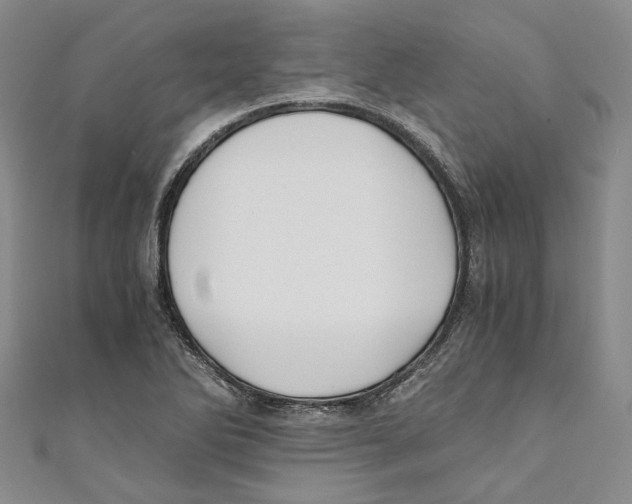 X0000110671270200907101058