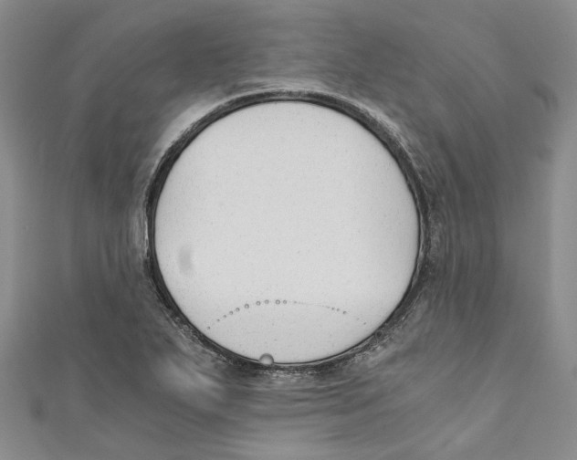 X0000110671271200907101058