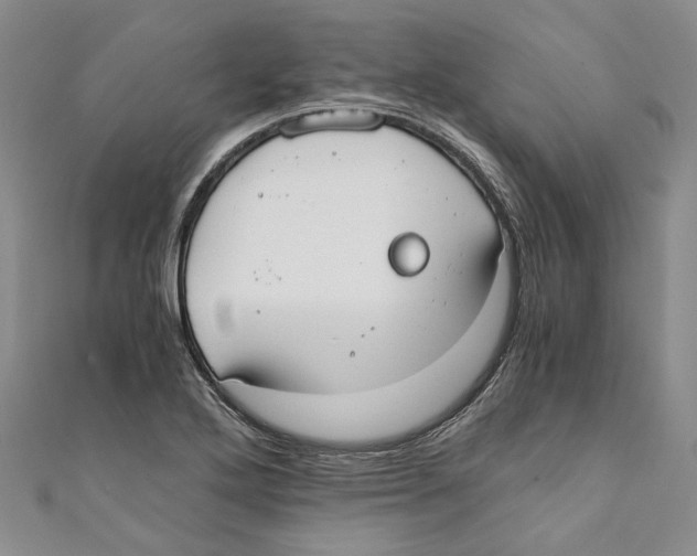 X0000110671272200907101058