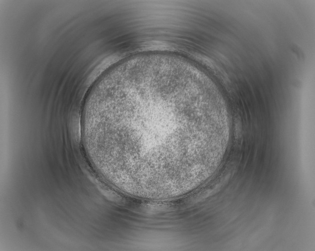 X0000110671274200907101058