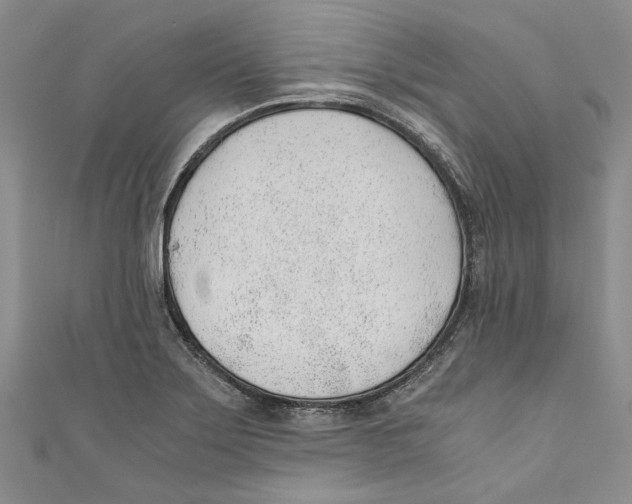 X0000110671275200907101058