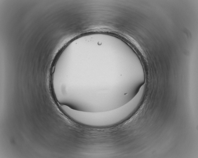 X0000110671277200907101058