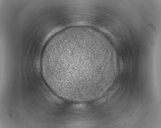 X0000110671278200907101058