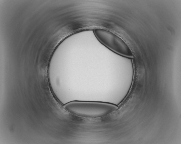 X0000110671281200907101058