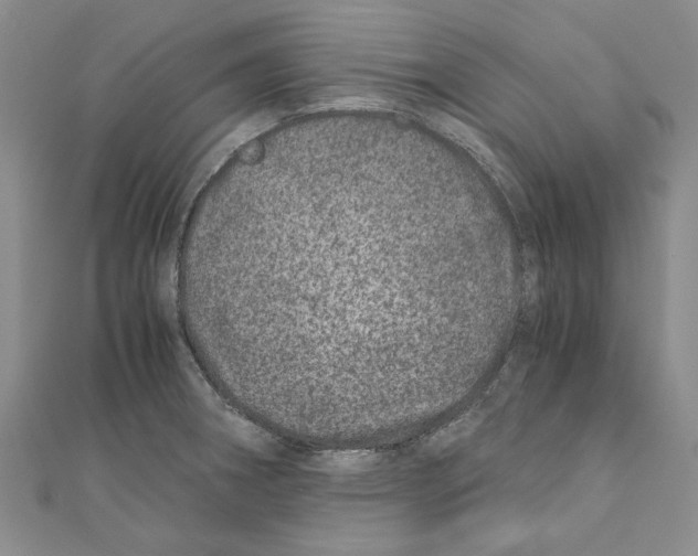 X0000110671282200907101058