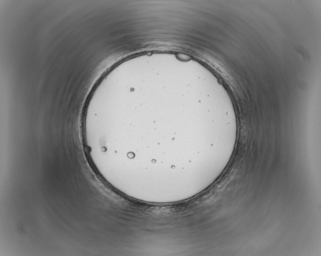 X0000110671283200907101058