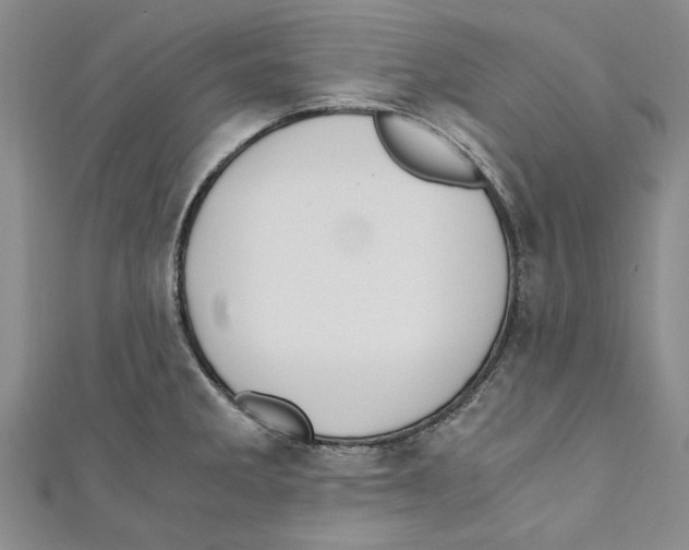 X0000110671285200907101058