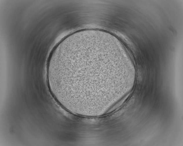 X0000110671286200907101058