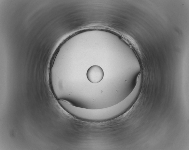 X0000110671288200907101058