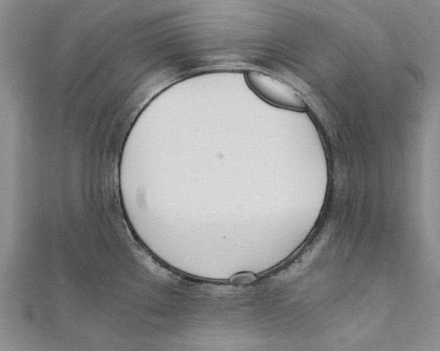 X0000110671289200907101058