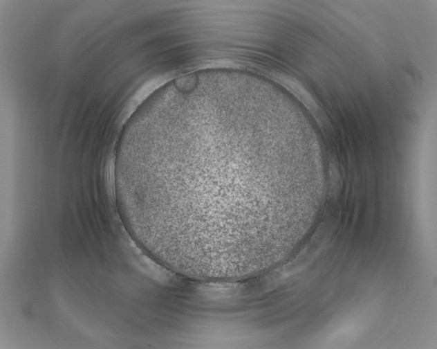 X0000110671290200907101058