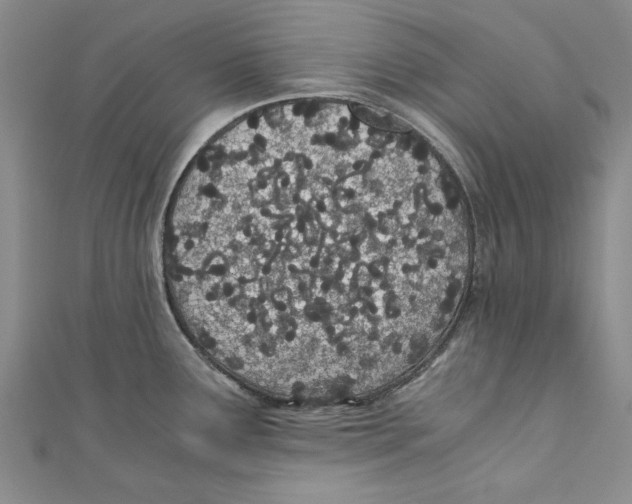 X0000110671291200907101058