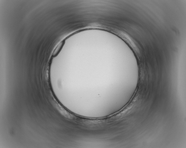 X0000110671292200907101058