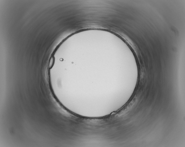 X0000110671293200907101058