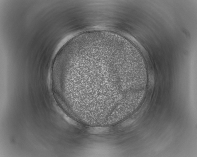 X0000110671294200907101058