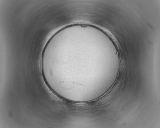 X0000110671295200907101058