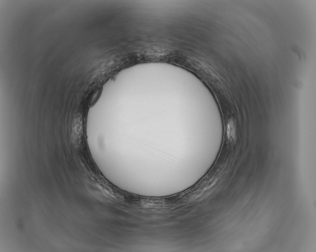 X0000110671299200907101057