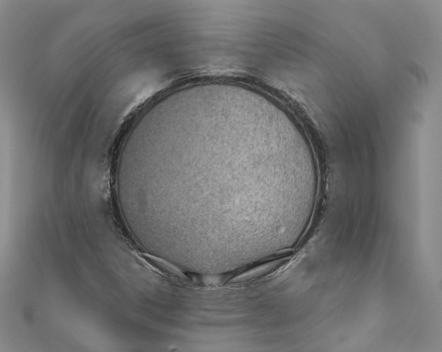 X0000110671306200907101057