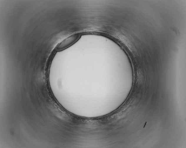 X0000110671308200907101057