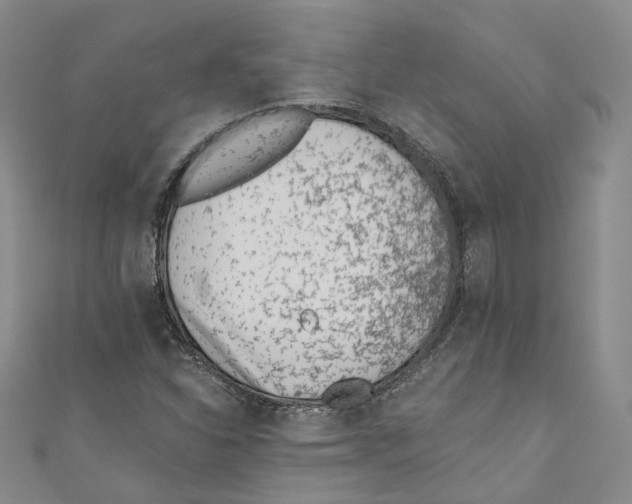 X0000110671310200907101057