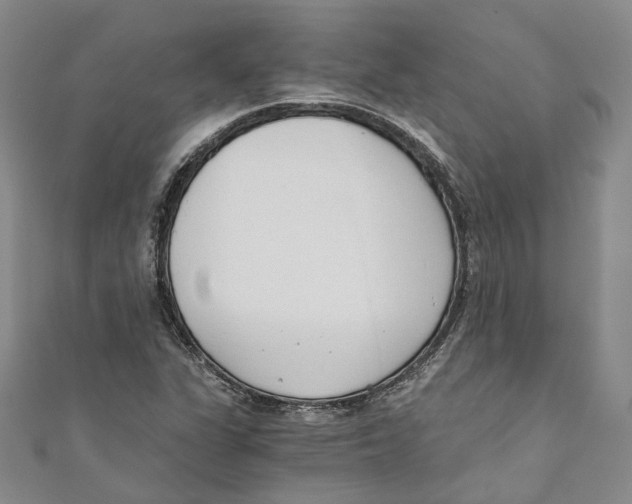 X0000110671311200907101057