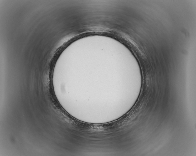 X0000110671315200907101057