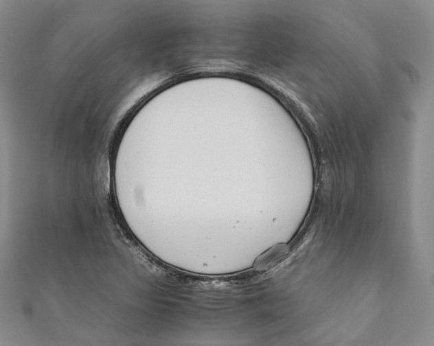 X0000110671317200907101057