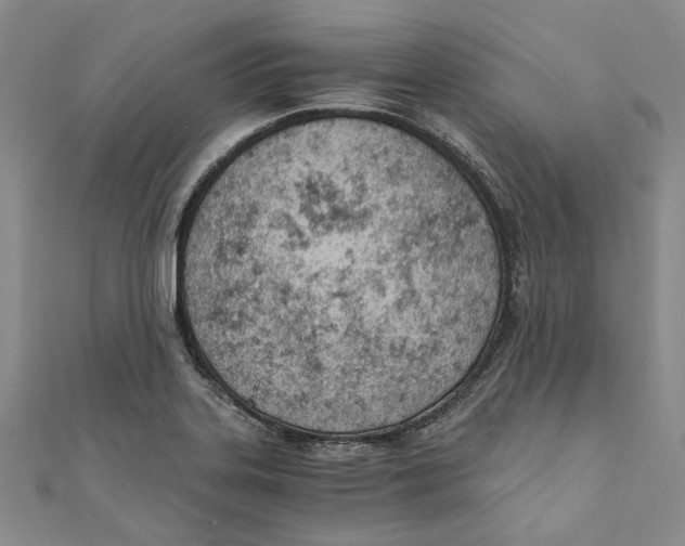 X0000110671323200907101057