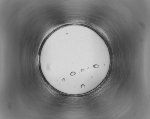 X0000110671324200907101058