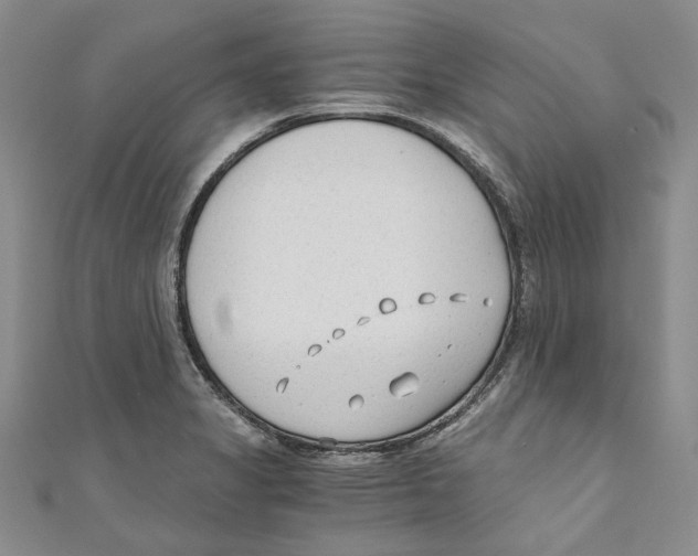 X0000110671325200907101058