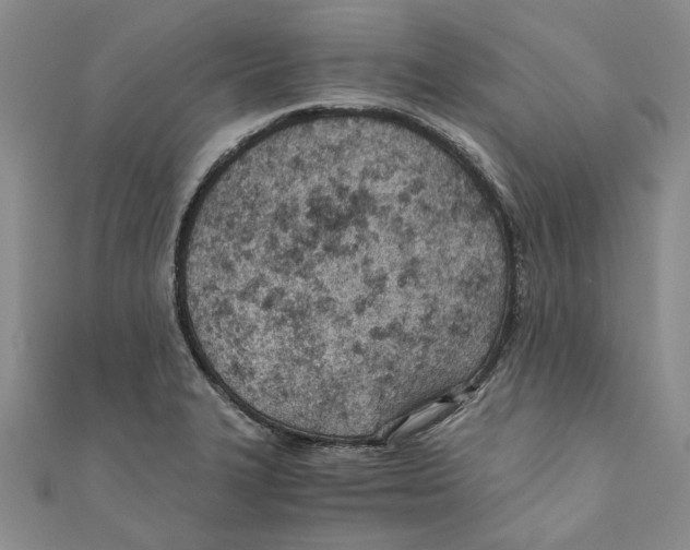 X0000110671327200907101058