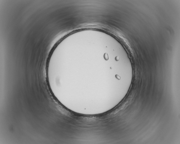 X0000110671328200907101058