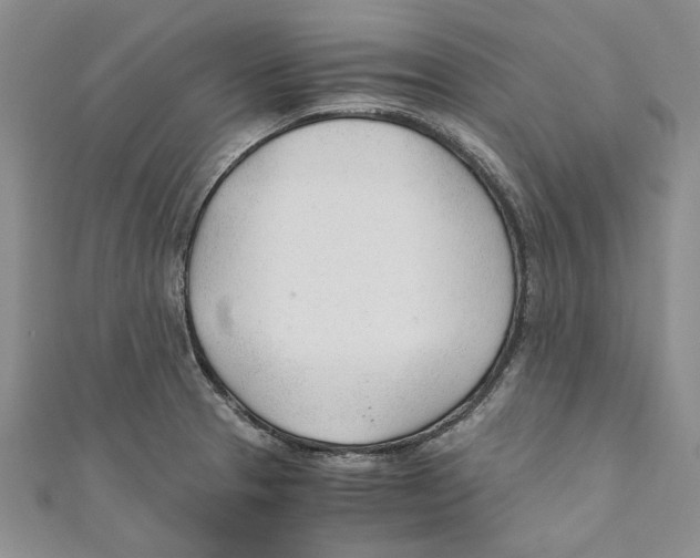 X0000110671329200907101058