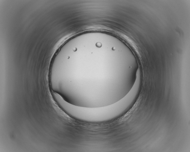 X0000110671330200907101058