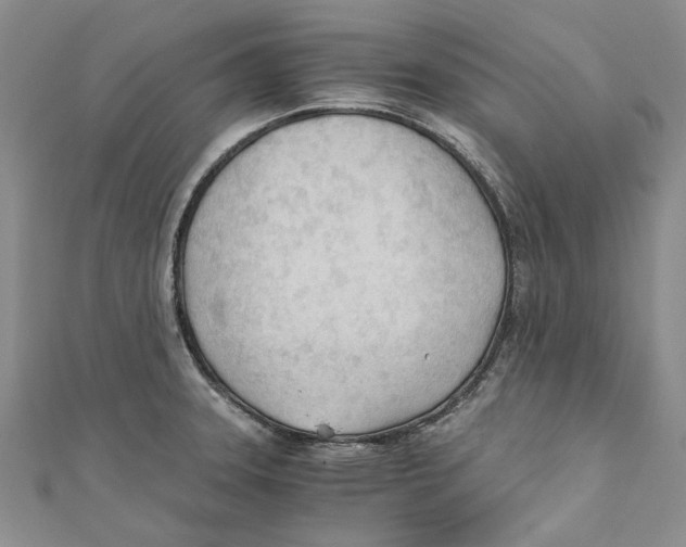 X0000110671331200907101058