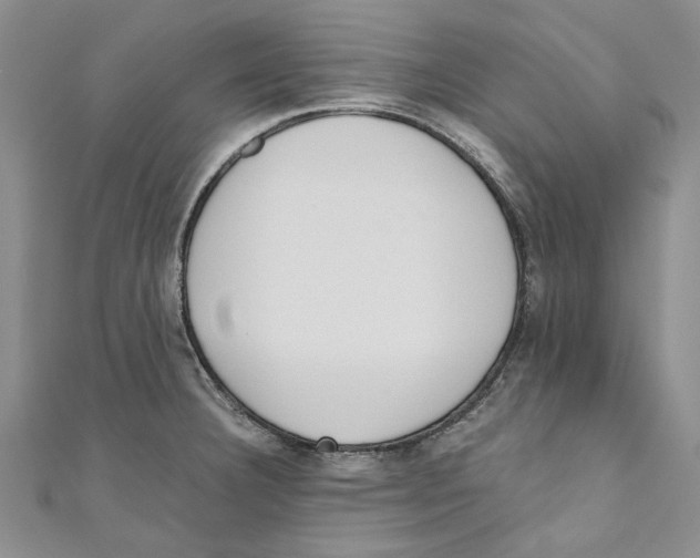 X0000110671332200907101058