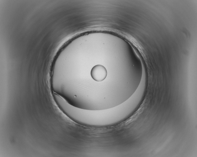 X0000110671334200907101058